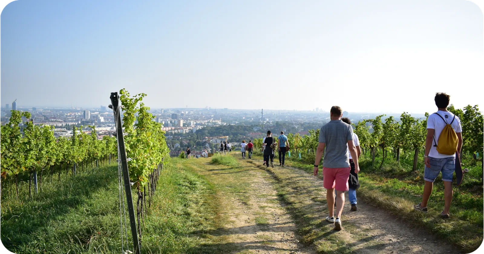 ShapeDiver in Stories