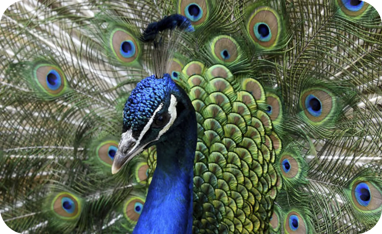 Designers Corner [Ep.2] – Daniel Abalde