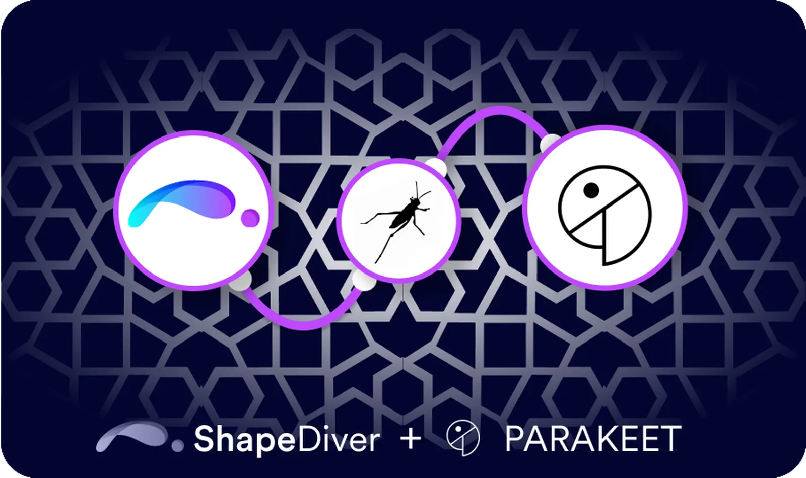 Parakeet Plugin Now Supported On ShapeDiver